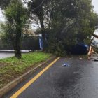 El tráiler se volcó sobre la acera, llevándose los árboles del parterre.