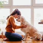 Adoptar puede ser amor a primera vista.