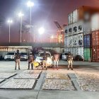 Operativo evitó envío de drogas a Reino Unido