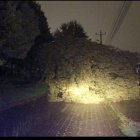 Se registró una caída de árbol en Manuela Sáenz y José Barba