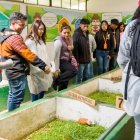 ONG. La Fundación Alianza Suiza trabaja en la capacitación y educación de comunidades sostenibles.