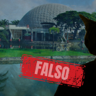 Municipio descarta veracidad de gatos muertos en el Parque Forestal.