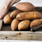 Descubre su impacto en la función cognitiva, su alto contenido en antioxidantes y cómo integrarlo en tu dieta para potenciar el cerebro