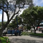 Poda. El fin de semana se podaron árboles de la avenida Remigio Crespo. En otro puntos fueron talados.