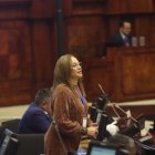 La asambleísta Pierina Correa resumió el informe sobre el caso Malvinas.
