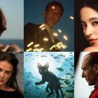 Estas son algunas de las películas favoritas para ganar en diferentes categorías.