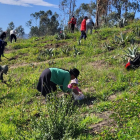 En una reforestación, organizada por la Secretaría de Ambiente de Quito, en el 2024.