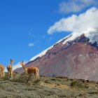 El Ministerio del Ambiente, Agua y Transición Ecológica emitió una alerta de alto riesgo de avalanchas en el volcán Chimborazo