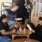 Lobo de Bosque, ubicado en C.C La Torre