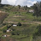 Volcán. El 45 % del suelo del Ilaló es propiedad de las comunas y el 55 % es de propiedad privada. Se identificaron construcciones sin autorización.