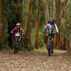 En los parques metropolitanos hay senderos, miradores y en algunas áreas para asados.