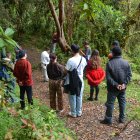 El guía y los visitantes se detienen para hacer la ceremonia y pedir permiso a la madre naturaleza para poder ingresar en ella y disfrutar.