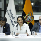 Ministra de Energía Inés Manzano.