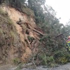Un árbol cayó a la altura de la avenida De Las Palmeras, en el norte de Quito lo que obstaculiza el paso