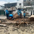 Trabajadores del Municipio de Guayaquil retiraron los árboles inertes del parque en Urdesa Norte.