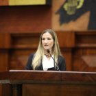 Gabriela Goldbaum habló ante los legisladores, la tarde de este martes 11 de marzo.