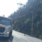 Un árbol que cayó en la avenida y generó una alta carga vehicular.