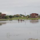 Daule. En el recinto Los Quemados, donde antes había un cultivo de arroz, ahora se ve solo agua. Los agricultores deben salir en canoa de sus casas.