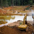 La minería de oro en la Amazonía peruana está fulminando uno de los ecosistemas más valiosos para combatir el cambio climático: los humedales de turberas.