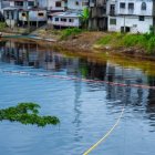 Un manto negro cubre el río Viche, uno de los más afectados por el derrame de petróleo y que desemboca en el río Esmeraldas.