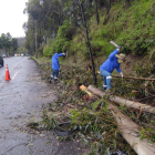 En la avenida Mariscal Sucre y La Gasca hubo un deslizamiento de tierra y se cayeron árboles
