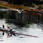 Un recorrido por el río Esmeraldas muestra el perjuicio que deja el derrame de crudo, debido a la rotura del SOTE.