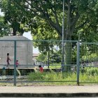 Maleza. Las hierbas han crecido en diversas áreas del distribuidor de tráfico de Sauces 6. Se requiere desbroce de la maleza, que desborda el cerco metálico.