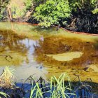 Una mancha negra se puede observar en parte del río Caple en Esmeraldas.
