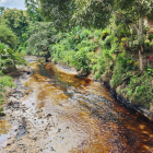 Los ríos contaminados por el derrame de petróleo en Esmeraldas.