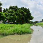 Los guayaquileños solicitan limpiar con urgencia canales de aguas lluvia naturales y zanjas. Los espacios se han convertido en criaderos de mosquitos.
