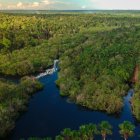 ONG. La Fundación Menté trabaja diversos proyectos medioambientales en la Amazonía ecuatoriana.