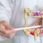 Salud. El Síndrome de Intestino Irritable cada vez es más común en Ecuador, en especial en las mujeres.