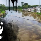 La organización está alerta ante la crisis ambiental en Esmeraldas.