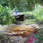 Derrame de crudo en Esmeraldas. La mancha de petróleo es notoria en el cauce del río y en riberas.