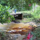 Las huellas del petróleo se pueden observar recorriendo parte del río que alimenta a varias plantaciones de este recinto de Quinindé.
