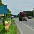 A pesar de que la E25 es una carretera ‘rápida’, no cuenta con señalización preventiva de cruce de especies.