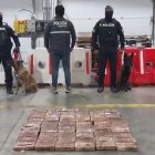 Los canes rastrearon el alcaloide bajo los contenedores.