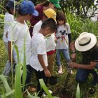 Niñas y niños de Nueva Prosperina participaron en la siembra en el bosque protector de cerro El Paraíso.