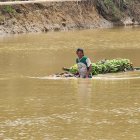 Los agroproductores que han perdido sus cultivos recibirán la compensación económica.