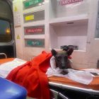 Valiente falleció en camino a ser tratado.