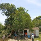 ============04 Pies de foto negro (35163167)============
Los árboles se cayeron, afectando incluso a viviendas. En otros puntos, los techados fueron destrozados por el viento.