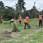 En la quebrada rellena Alugulla, 10 ciudadanos infractores hicieron hoyos para sembrar plantas nativas.
