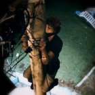 El hecho fue dado a conocer por el Municipio de Guayaquil y la Policía Nacional.