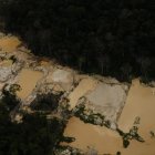 Fotografía facilitada por Greenpeace que ha publicado hoy 8 de abril de 2025 un informe que indica que la minería ilegal del oro prolifera en la selva amazónica