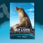 El 22 de abril es el estreno de dos documentales de Galápagos en Disney Plus.