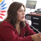 La oficialista Inés Alarcón preside la mesa legislativa de Seguridad.