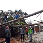 El árbol cayó sobre una vivienda y bloqueó el paso vehicular en la av. Los Conquistadores, en Guápulo, nororiente de Quito.