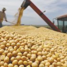 Uno de los cuestionamientos es el uso de franja de precios, para abaratar costos de importación.