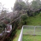 Sobre una de las cabinas del Teleférico cayó un árbol la tarde de este 10 de abril de 2025.