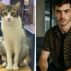 Así se vería Oreo si fuera un chico según ChatGPT.